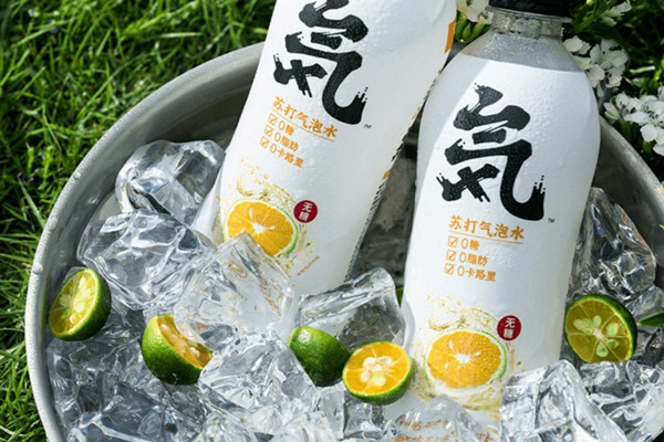 小程序旗舰店，完整拆解元气森林布局私域全流程